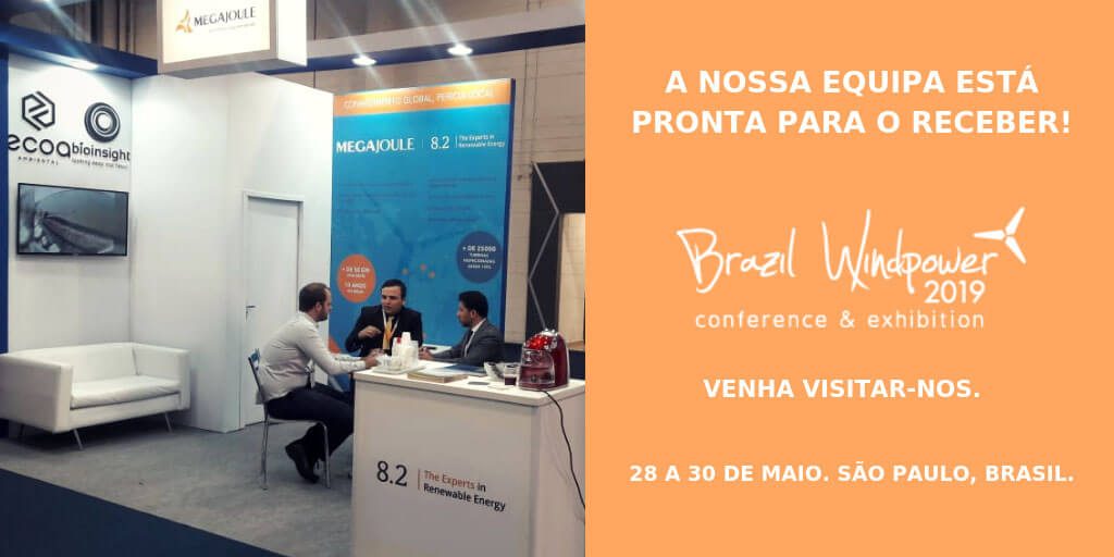 Brazil Windpower 2019.